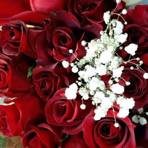 Meet your Posher, Marisol